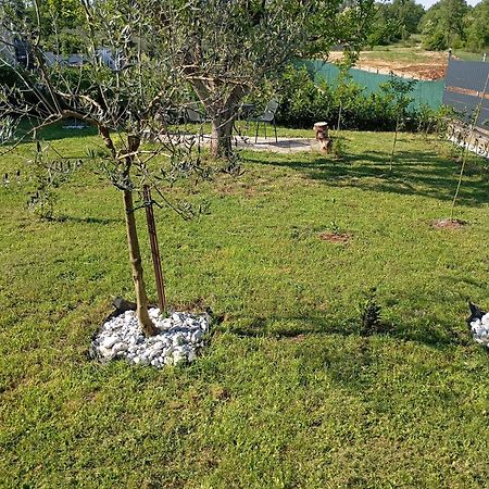 Apartman Jenny-Porec Kosinozici Dış mekan fotoğraf